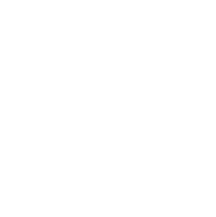 nao_inc_logo